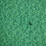 Gulf of Mexico Helicopter Tour